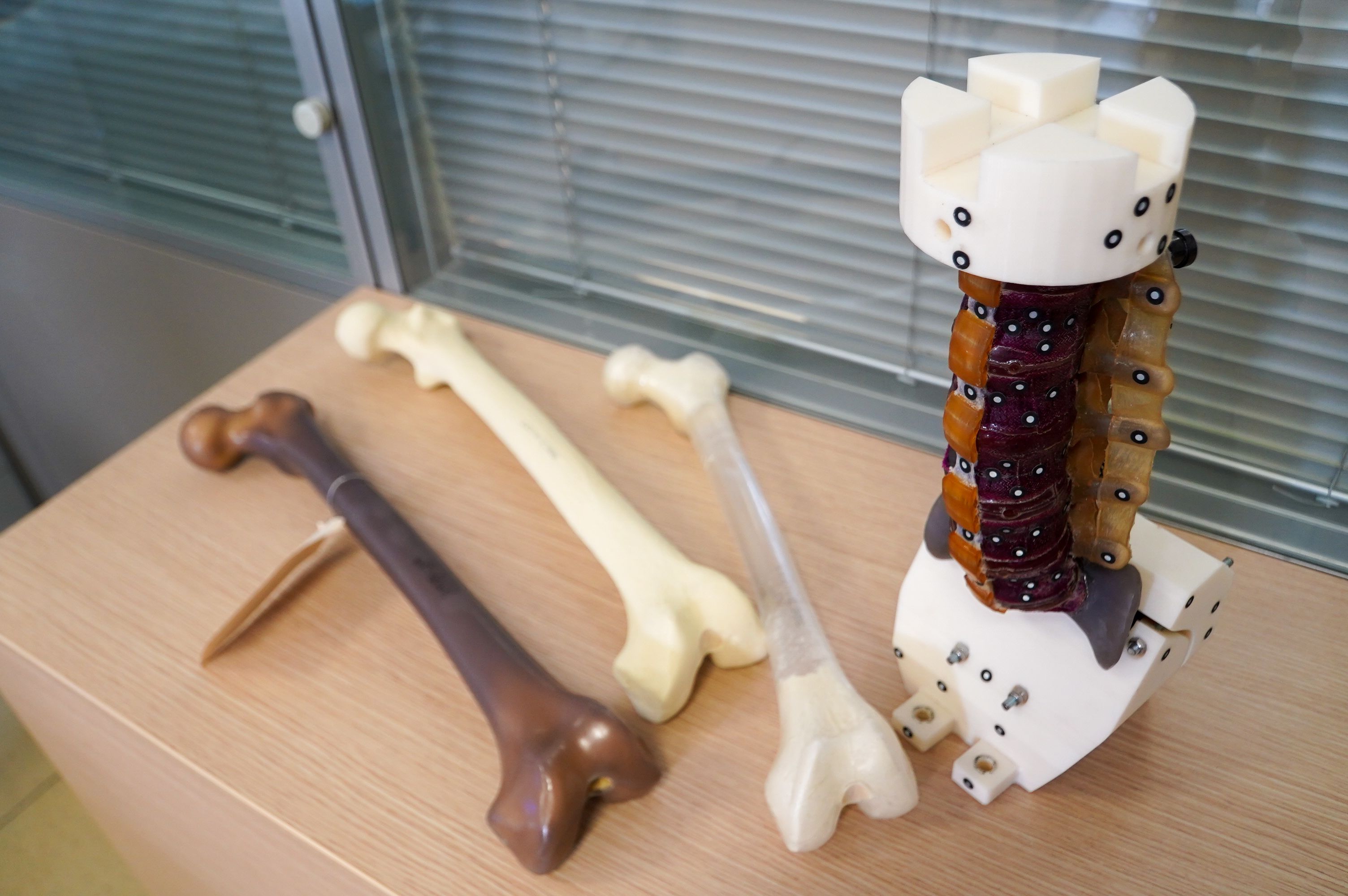 PASTISS research infrastructure